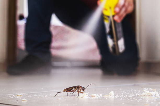 Best Mosquito Control Services  in Colwyn, PA